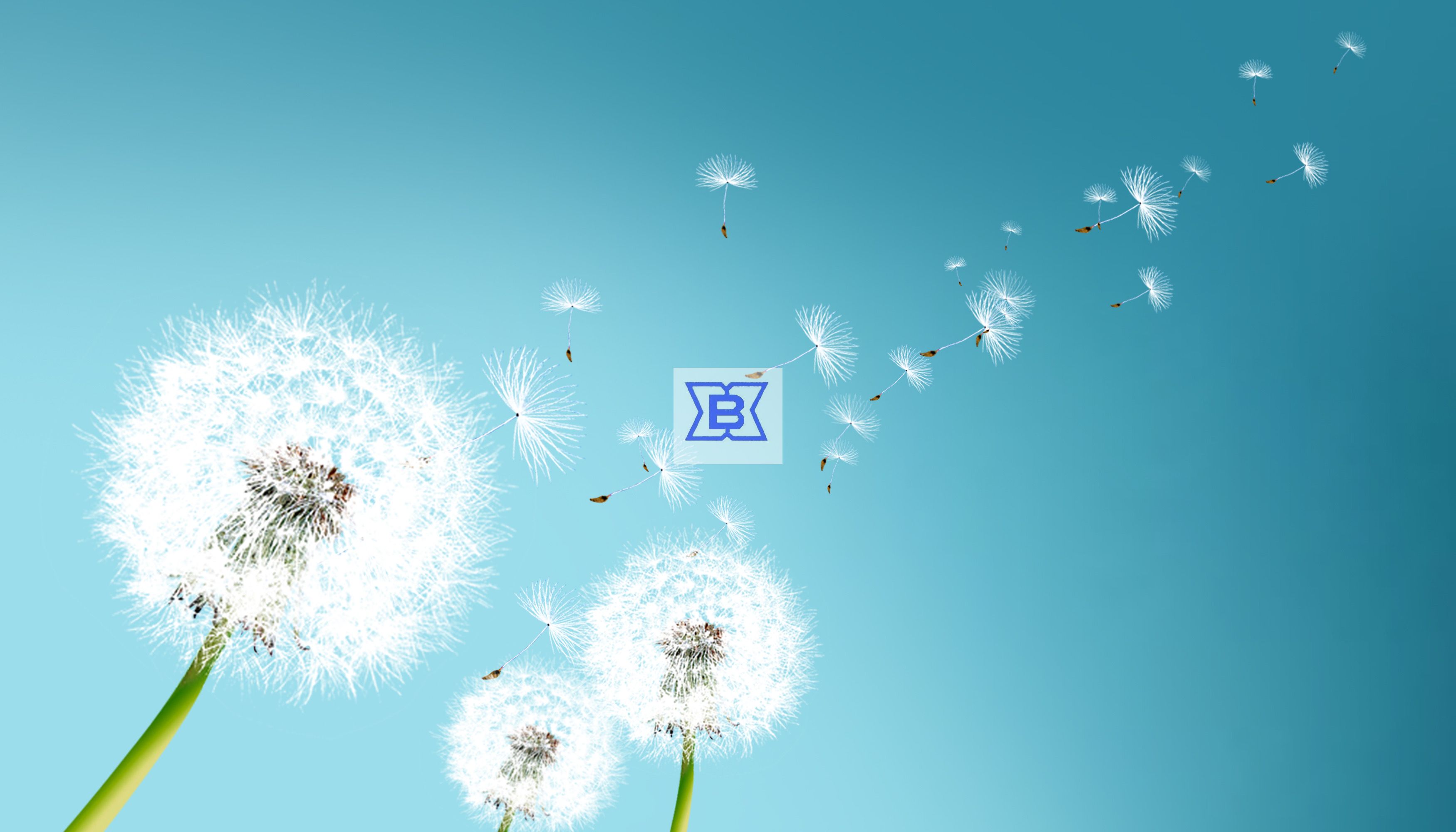 鸿运国际·(中国)集团-鸿运官网接待你